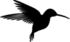 Kolibri Logo, hier fehlt noch der Firmenname im Logo